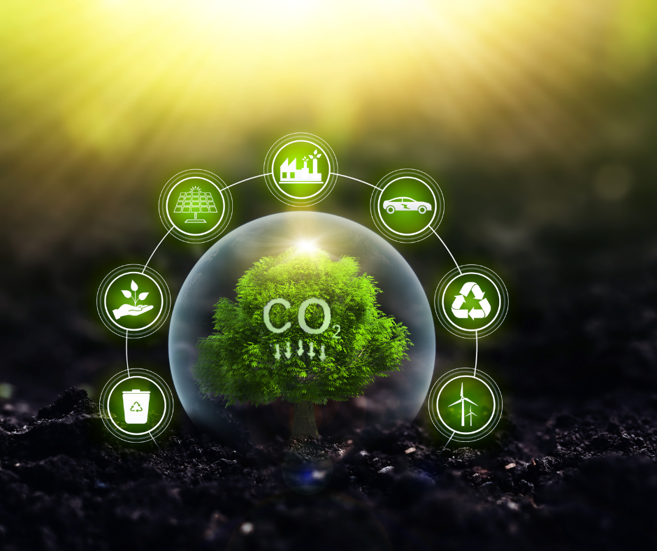 5 Key Elements In Your Facility’s Sustainability Plan